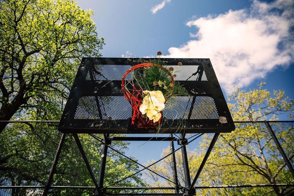 Growing the Game v1