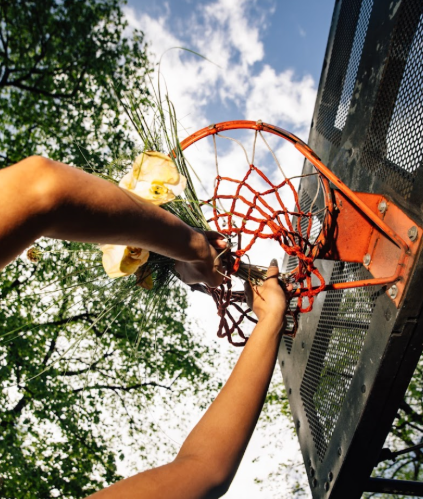Growing the Game v2